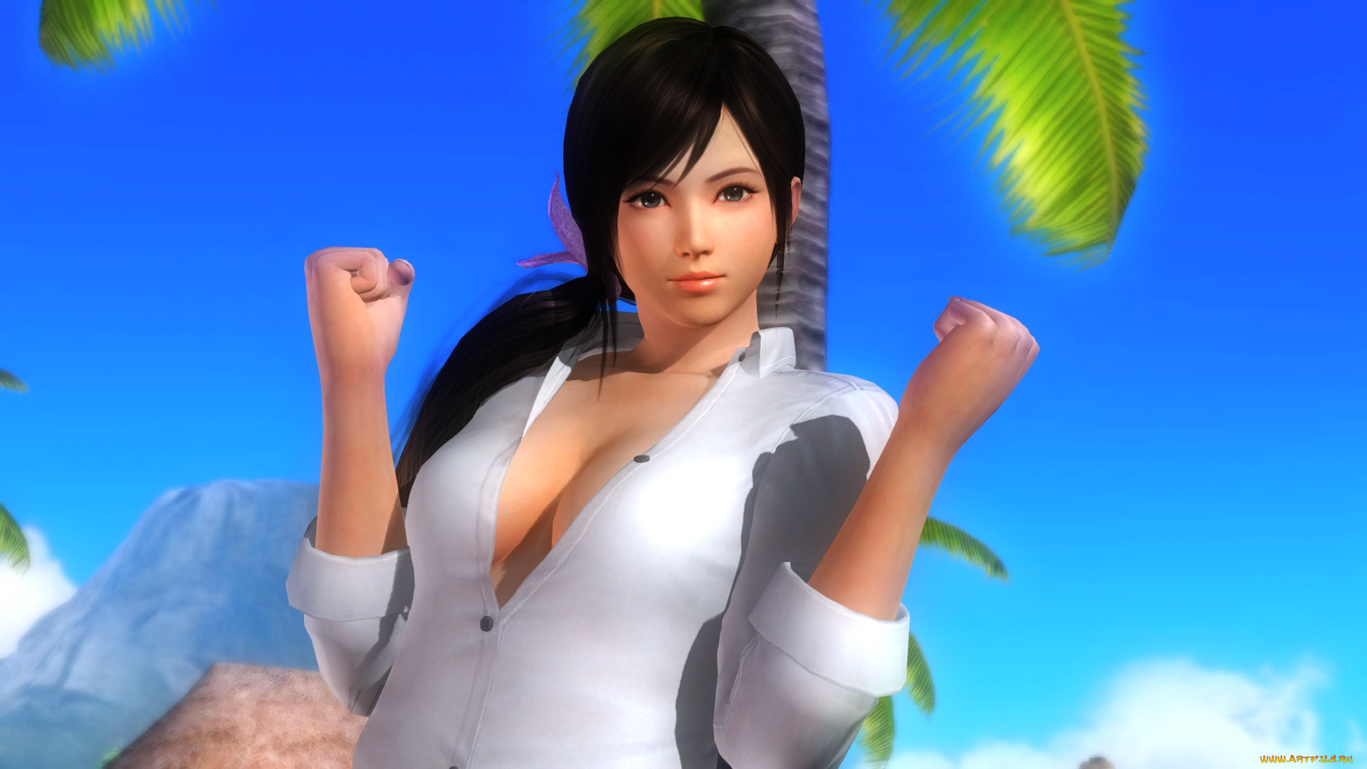  , dead or alive 5, , , 